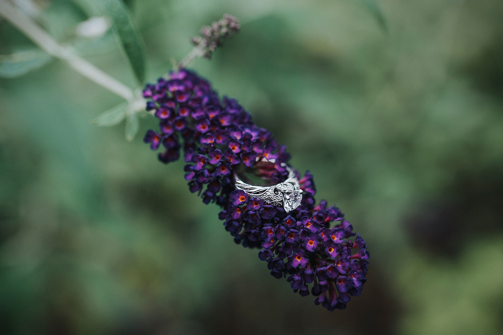 Engagement and Wedding Photographer Pittsburgh