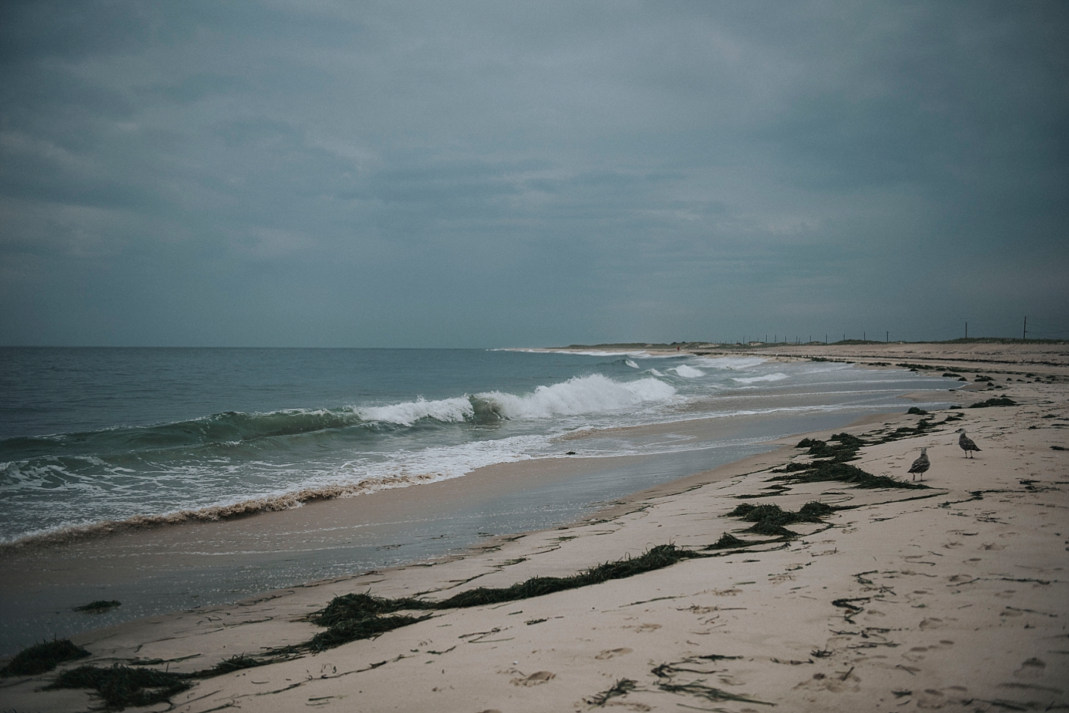 Pittsburgh-Wedding-Photographer-Sandrachile-beach-engagement