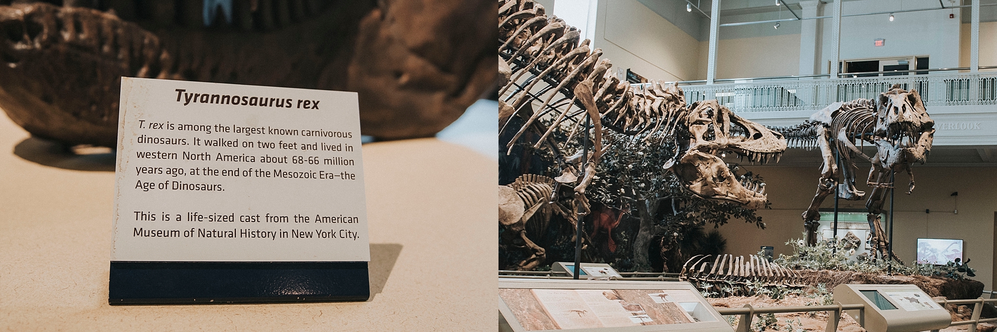 Carnegie museum