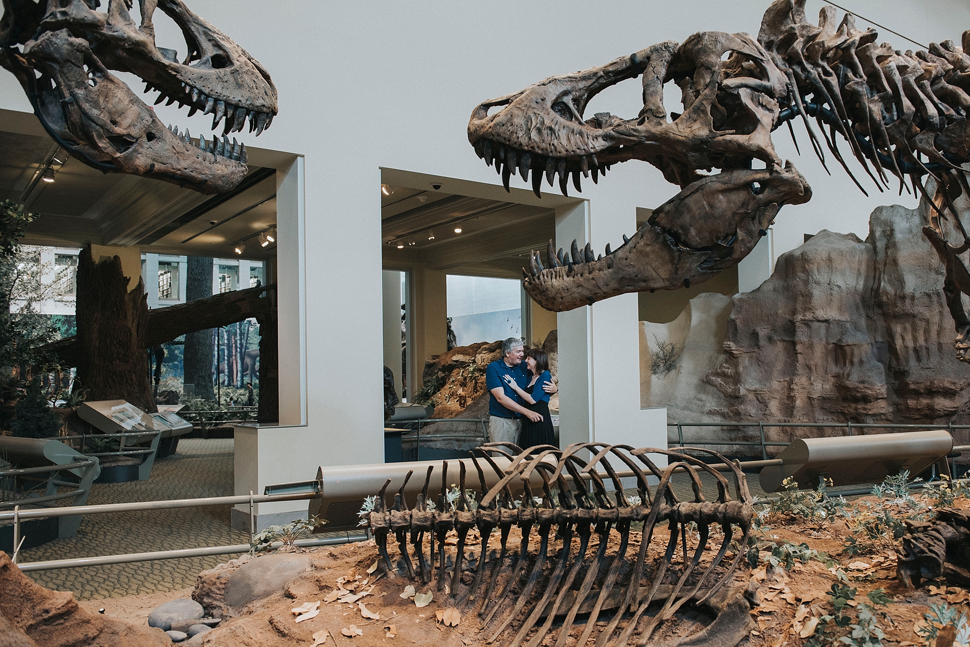 Geek Proposal, Carnegie Museum Pittsburgh