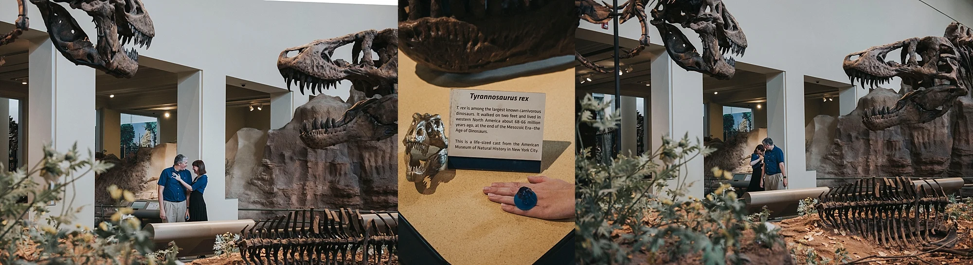 Geek Proposal, Carnegie Museum Pittsburgh
