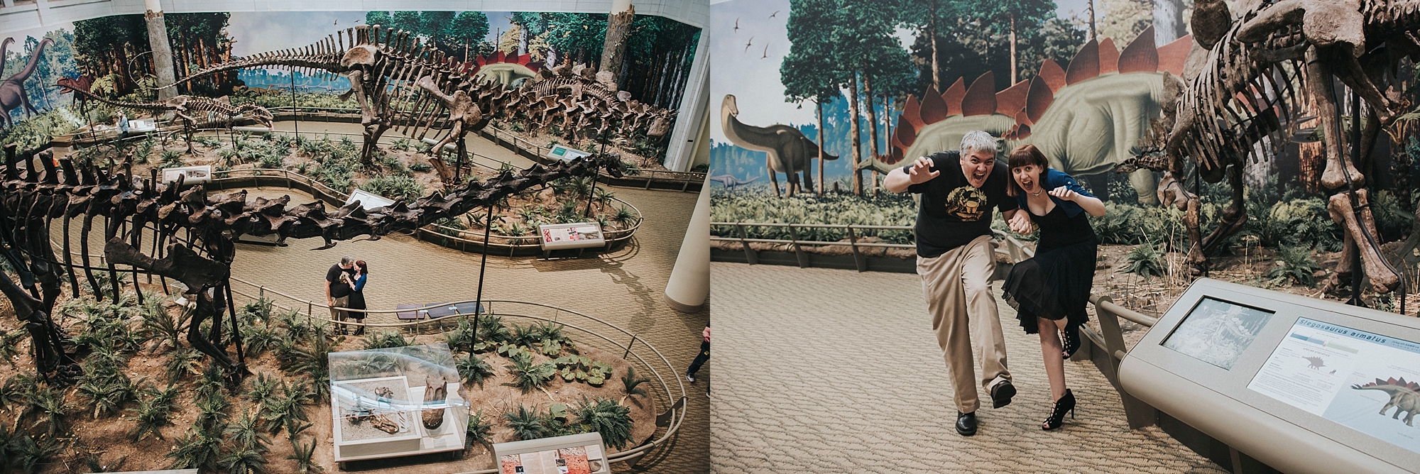Pittsburgh engagement photographer