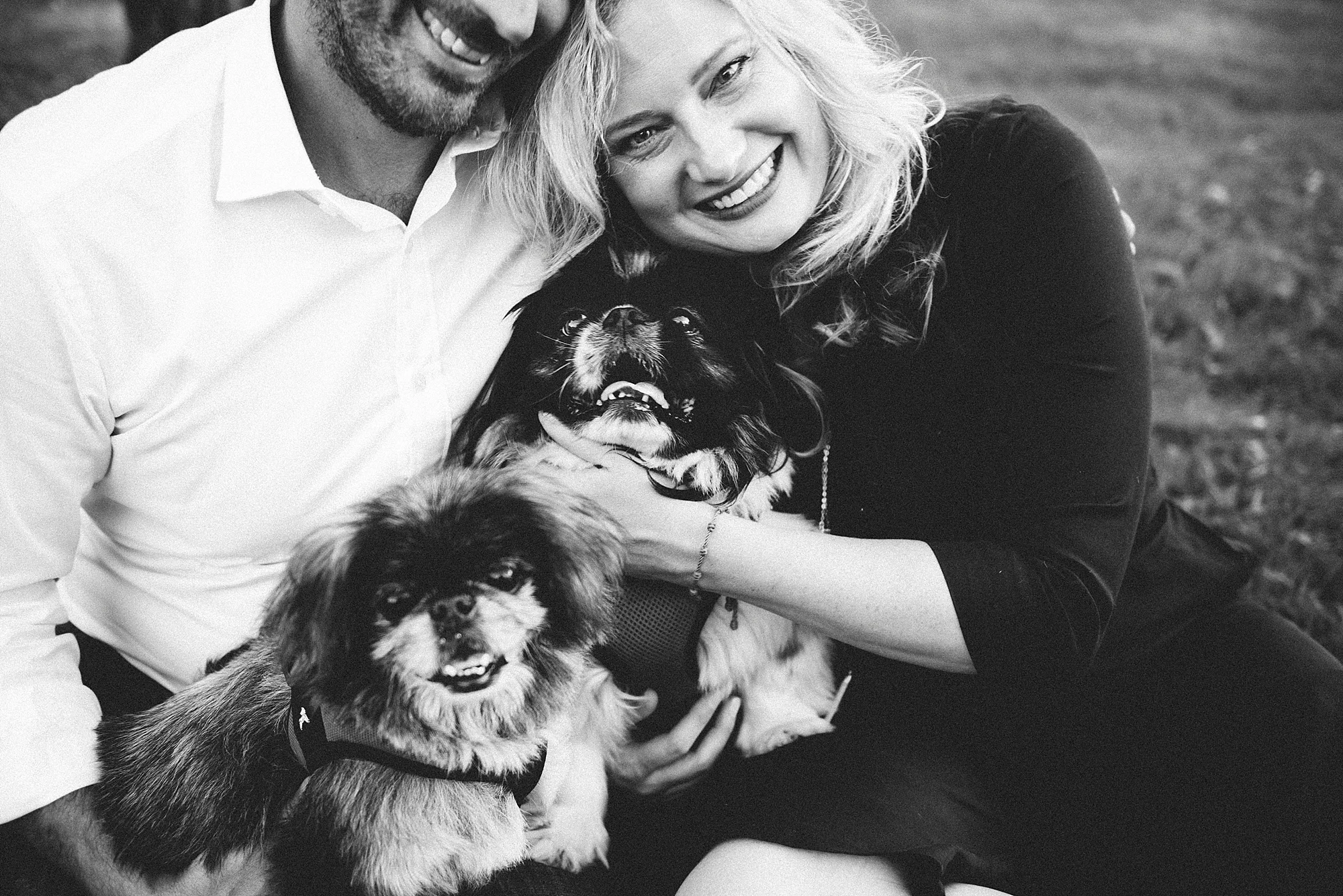 Engagement session with dogs