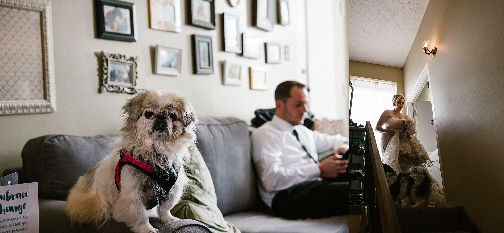 Pittsburgh wedding with dog