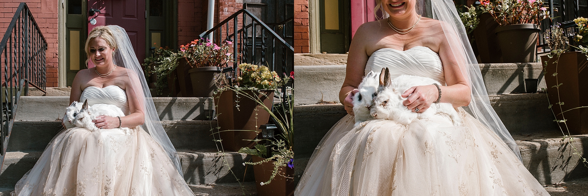 Bride with rabbit - Pittsburgh wedding