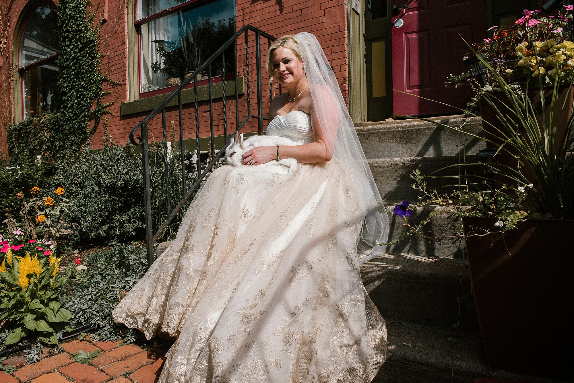 Bride with bunny - Pittsburgh wedding
