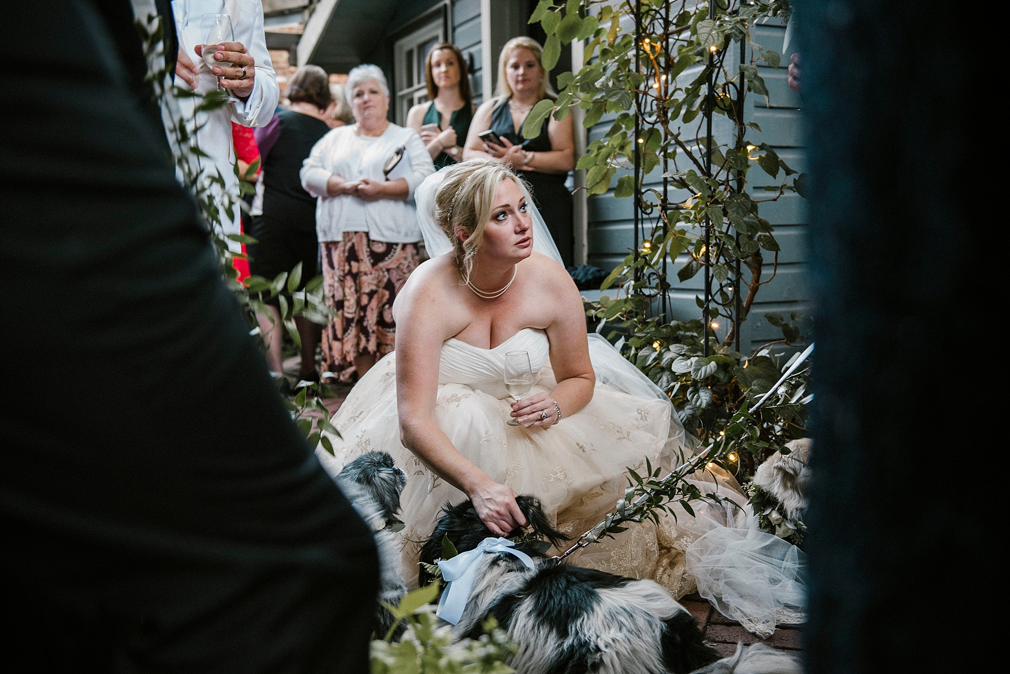 Dogs at weddings in Pittsburgh