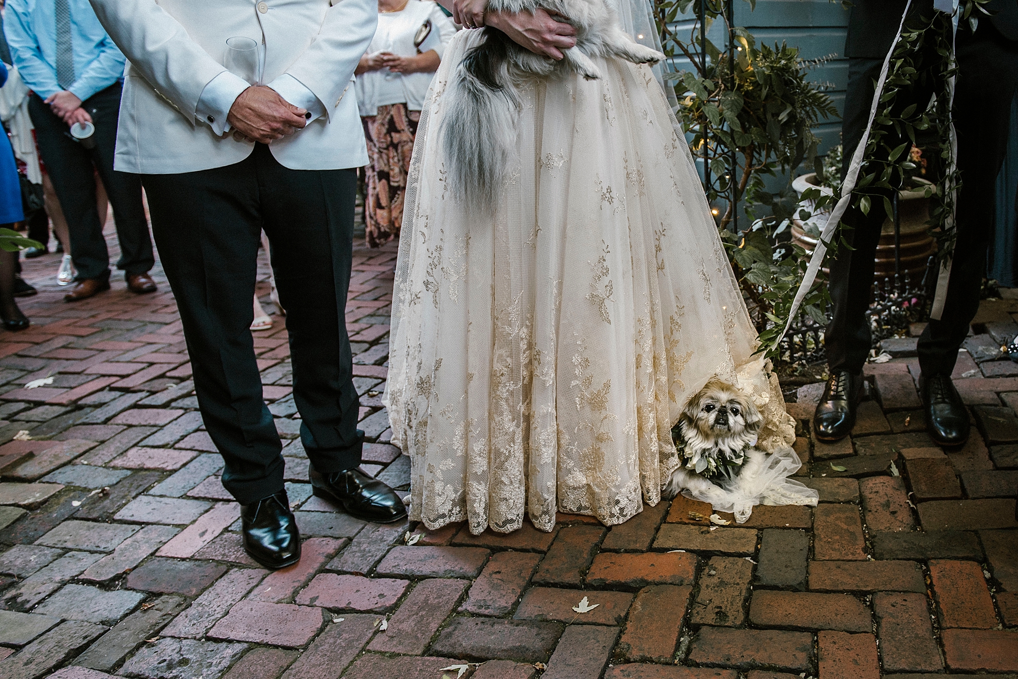 alternative wedding photographer Pittsburgh