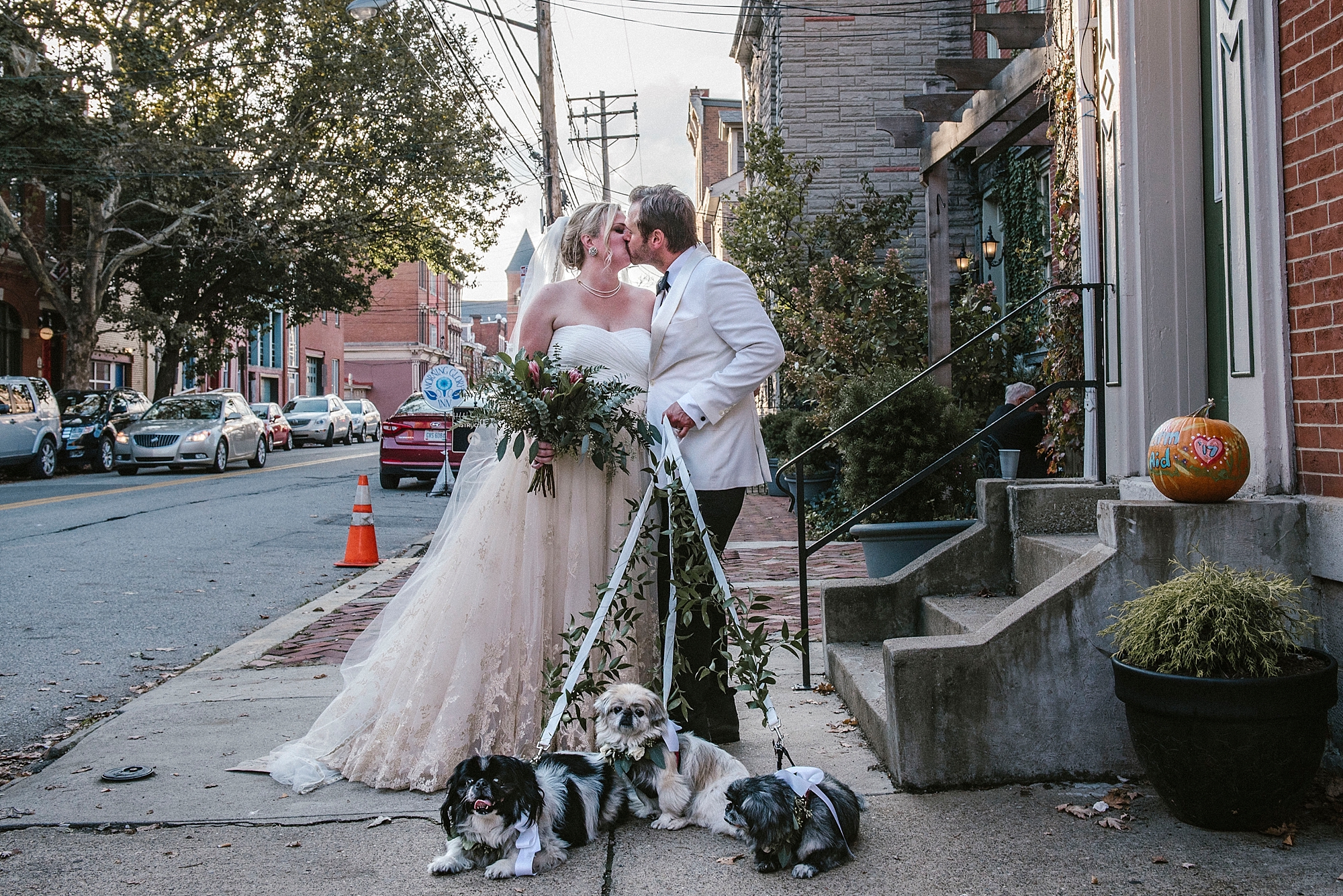 Pittsburgh ethical wedding with dogs