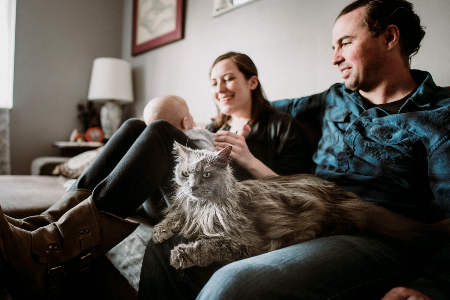 Family session with cats