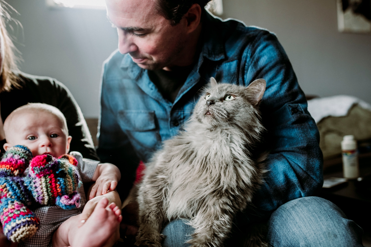 Cats family session