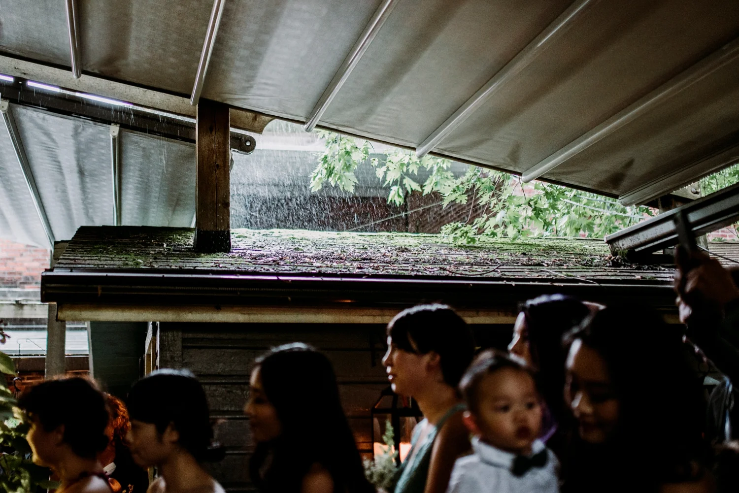 0310-MarkJess_Chinese-Pittsburgh-wedding-Morning-Glory-Inn.jpg