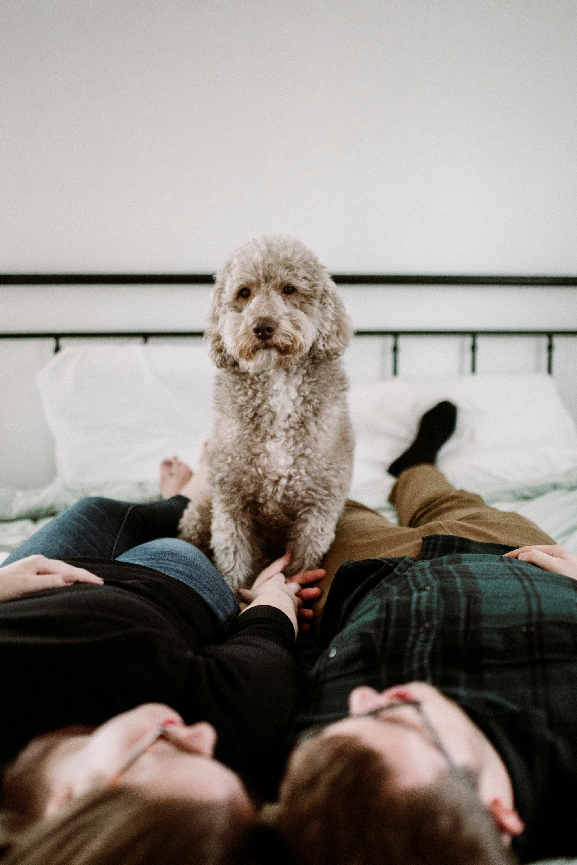 engagement pictures with dog