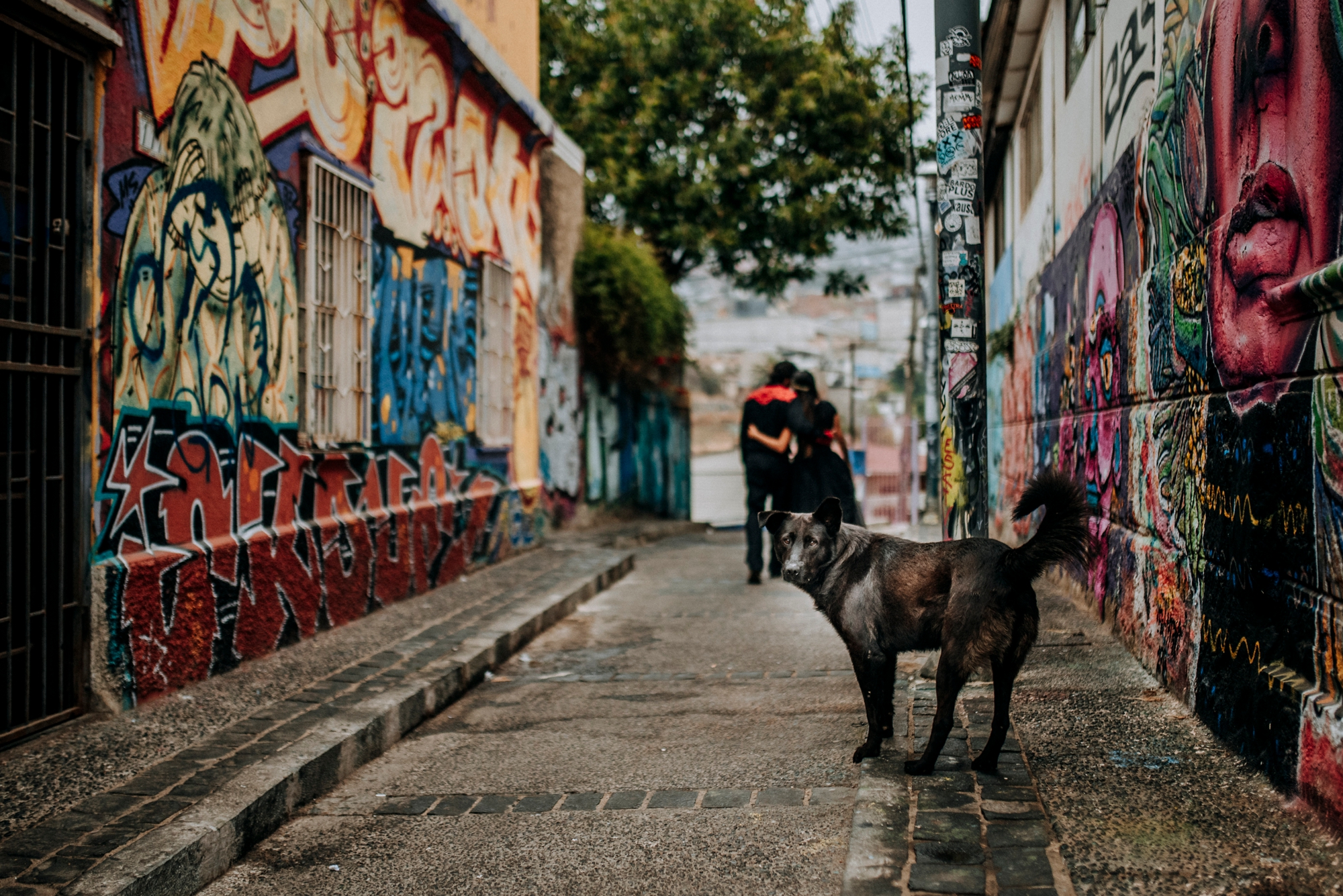 elopement-valparaiso_0029.jpg