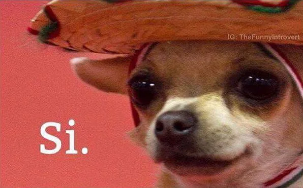 practique su español!