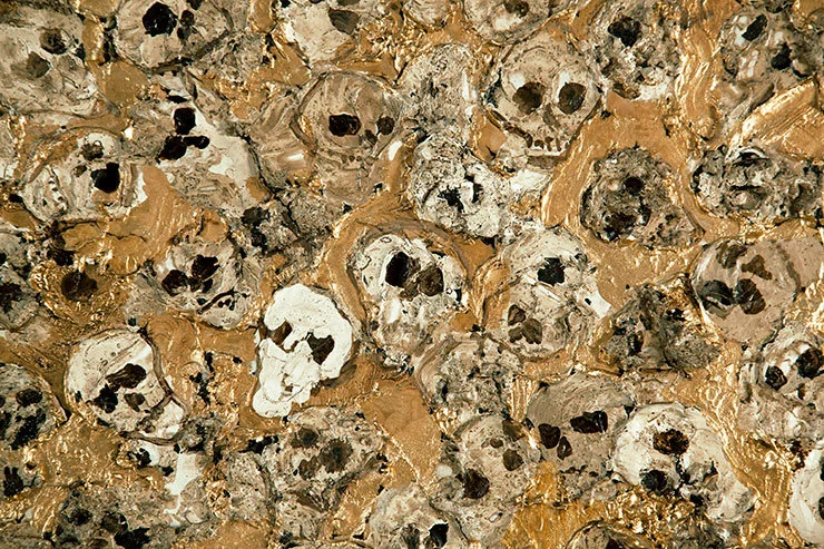20111124133103_c2.jpg