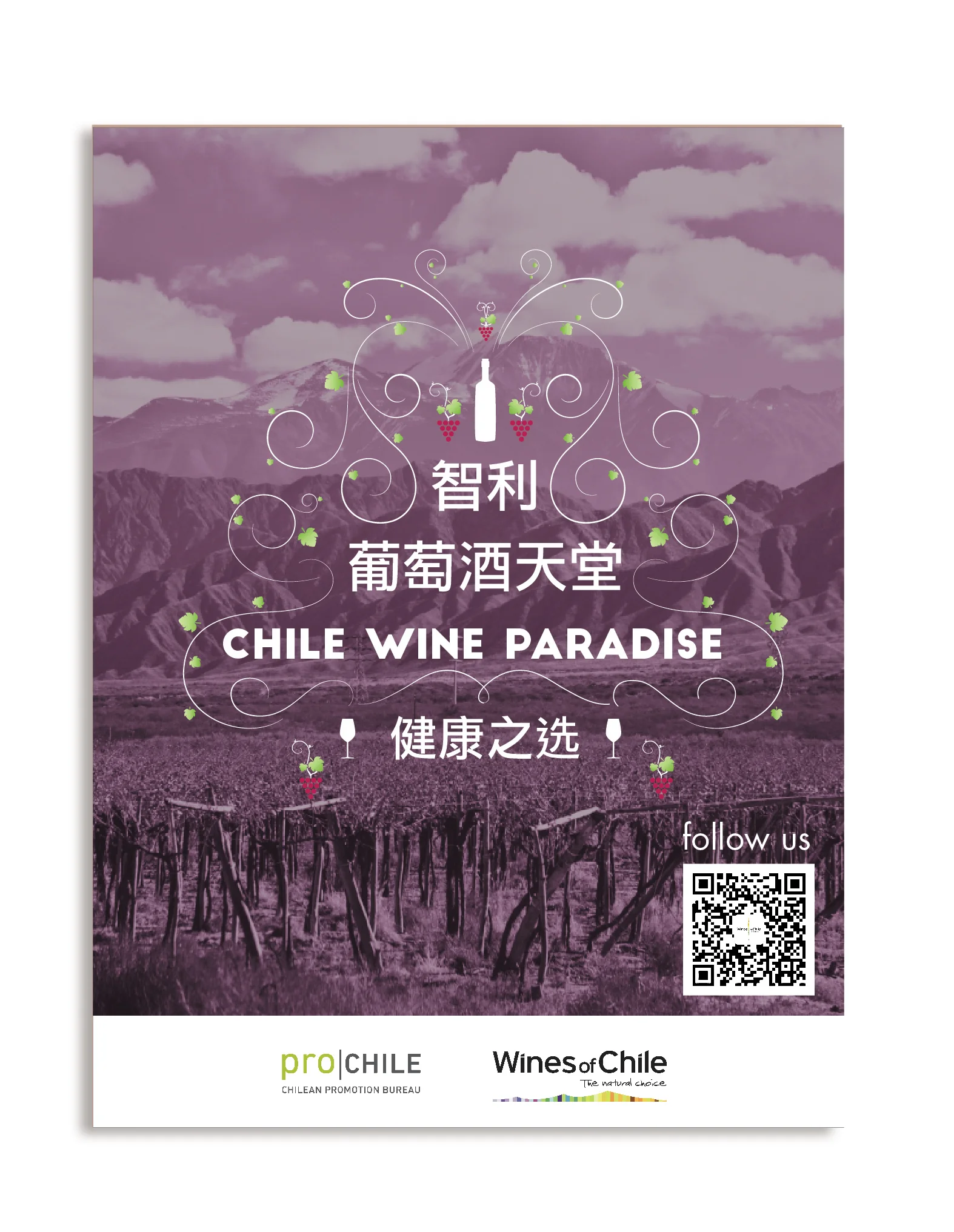 Chile Wines