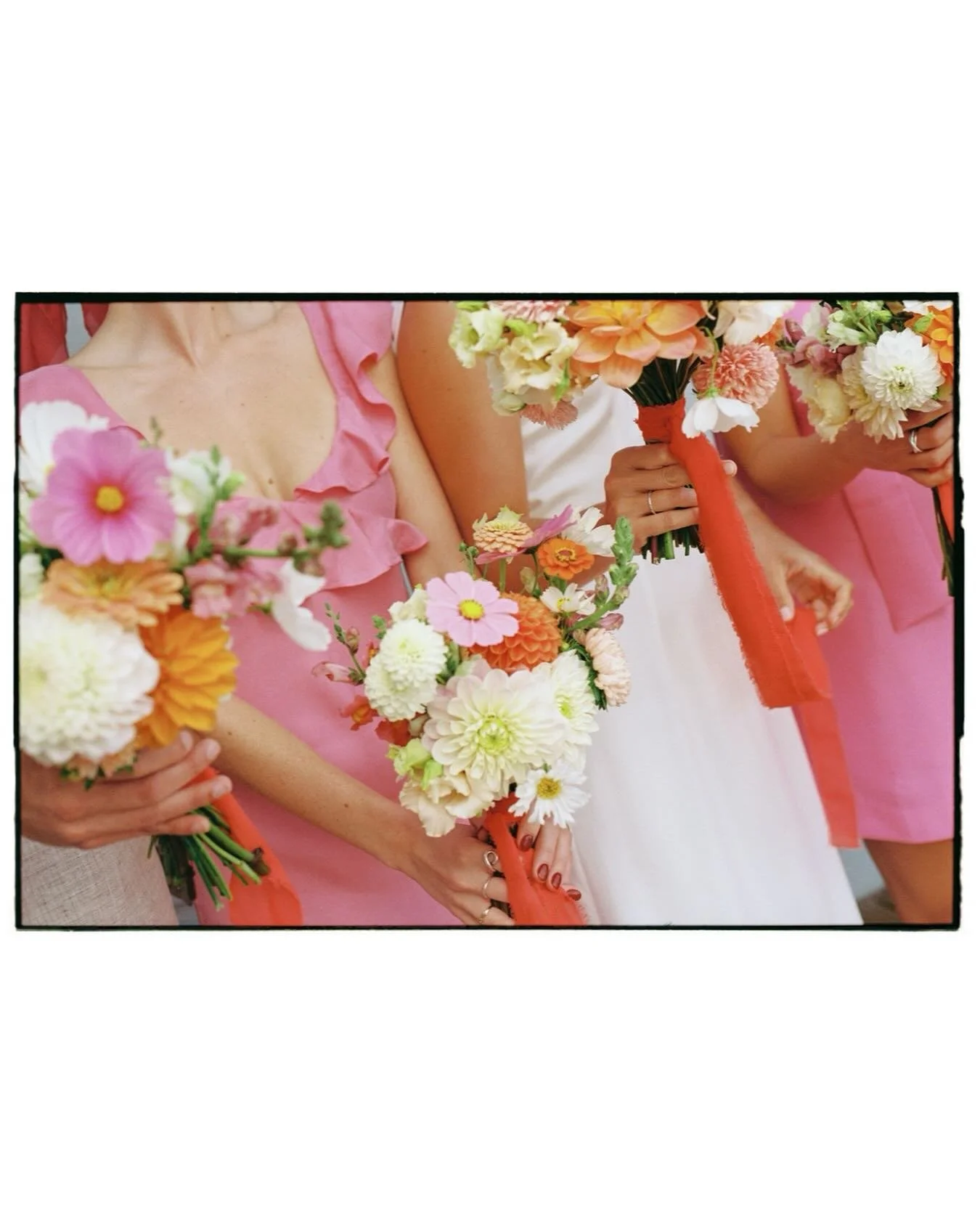 Floral details from a glorious day in Devon 🌞