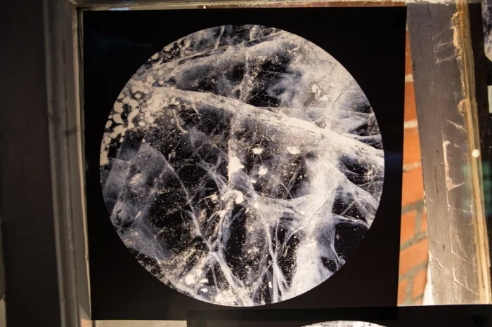 Earth X Rays