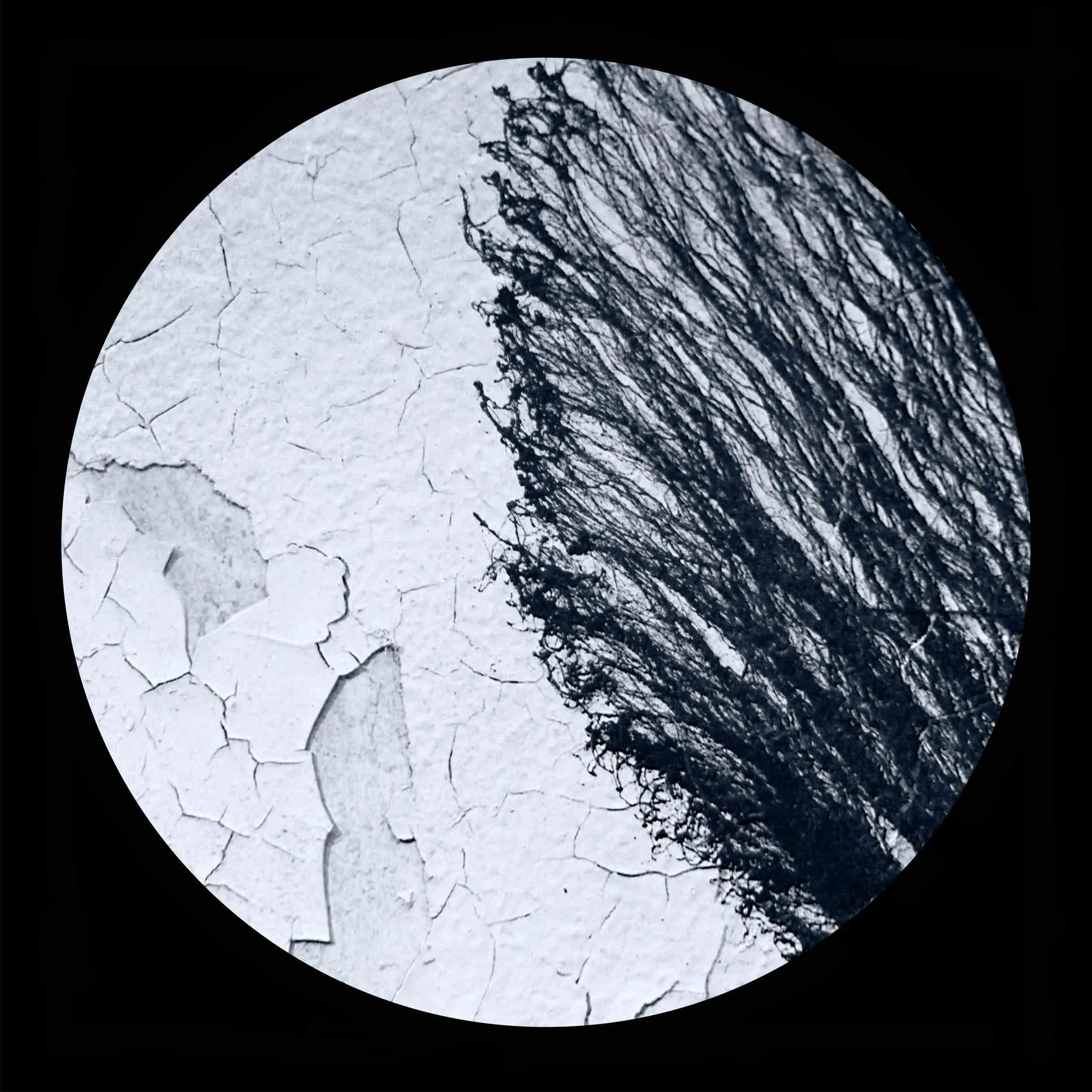 XRays of the Earth, graffiti on the wall