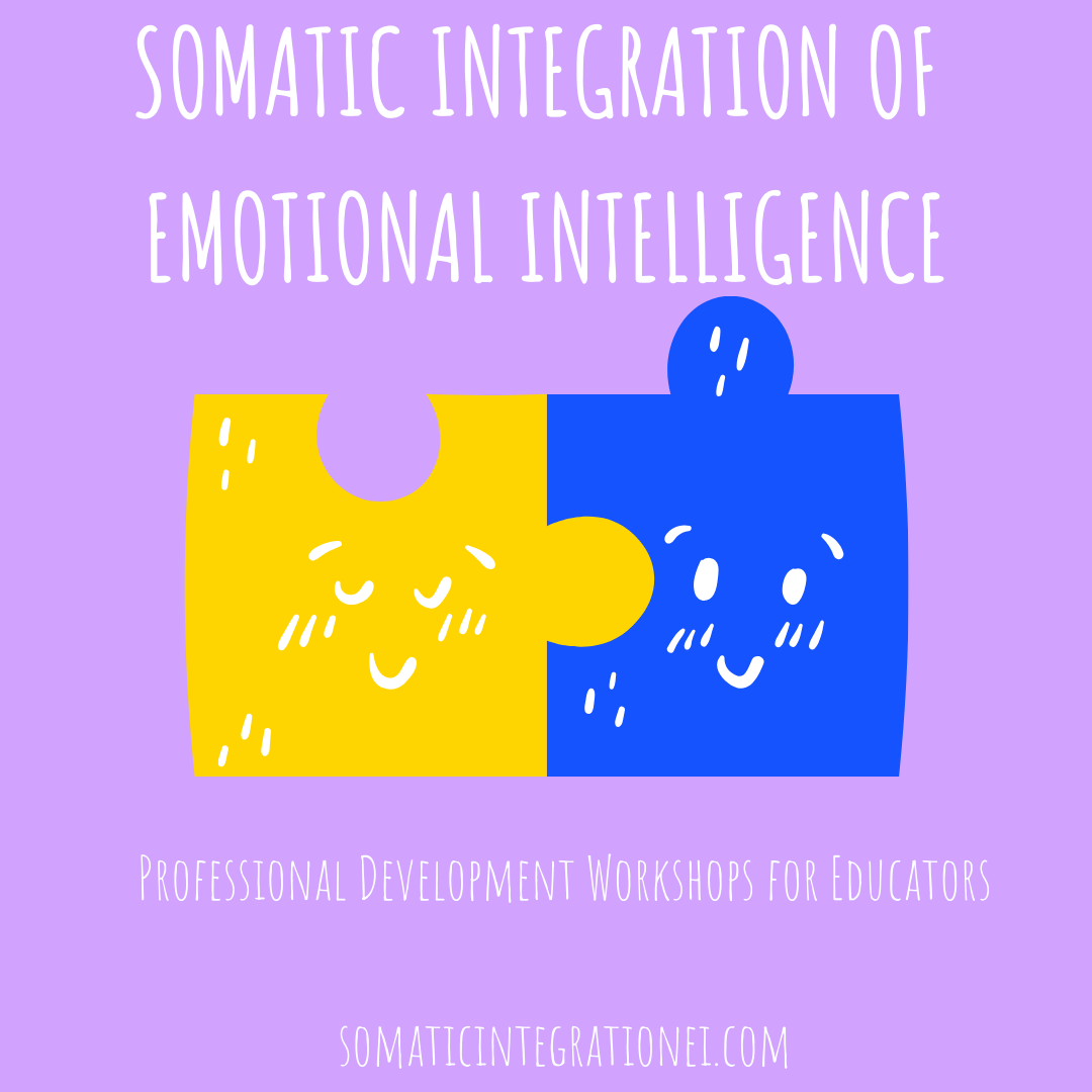 Professional Development Workshops with Somatic Integration of Emotional Intelligences