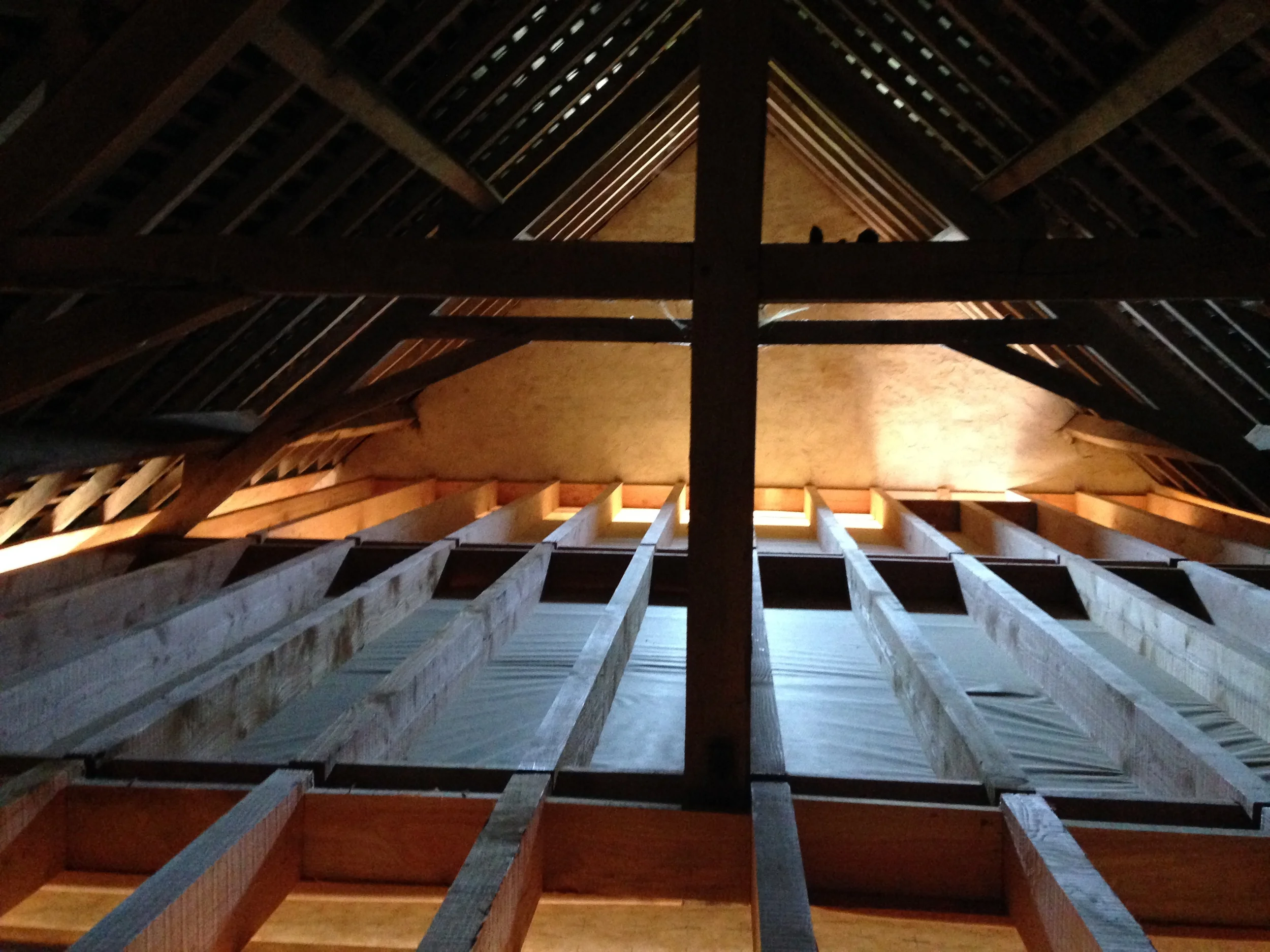 2014-07-24 10.29.12.jpg