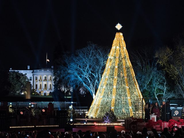 The 2015 National Christmas Tree. Photo courtesy of WUSA9/Getty Images.