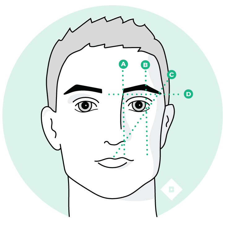M_Guide_EyebrowMap.jpg