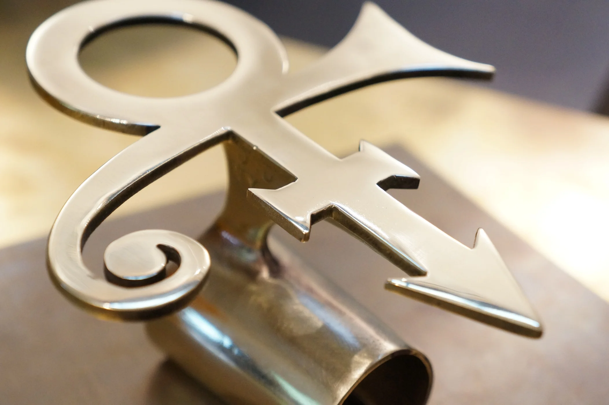  Custom Microphone Holder 