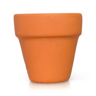 terra Cotta pot.jpg