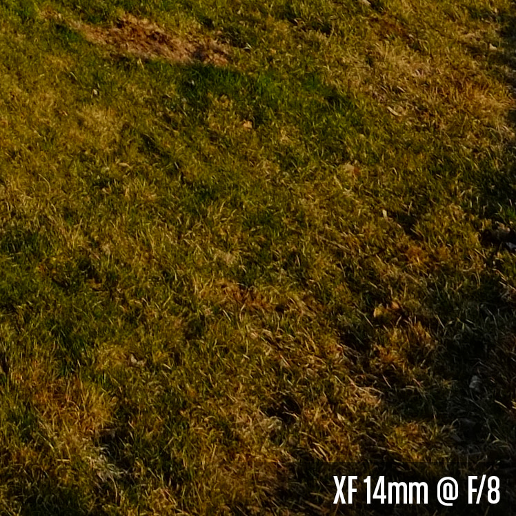 XF 14mm @ F_8.jpg