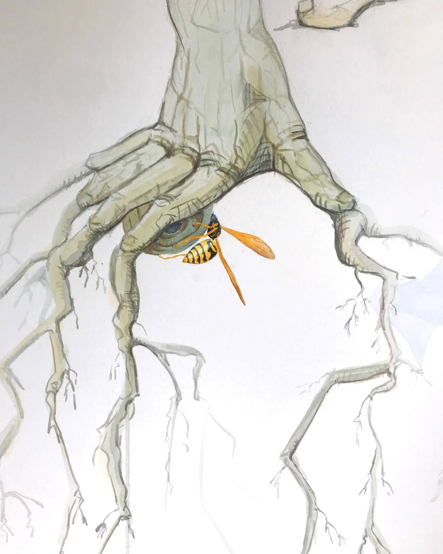 Roots Detail