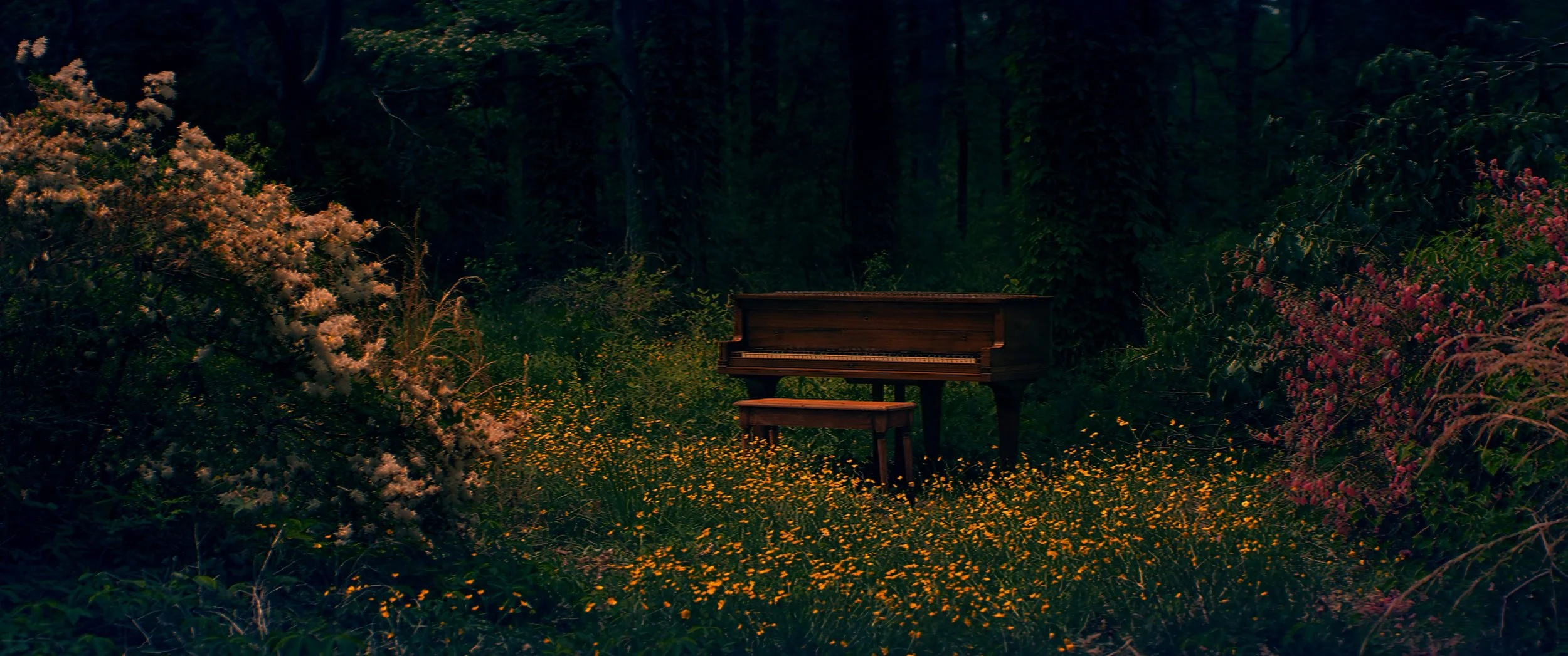 piano in the woods.jpg