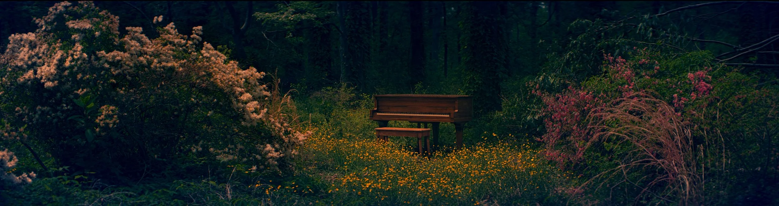 piano in the woods_wide_1.914.1 copy.jpg