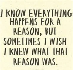 Where Have You Been?