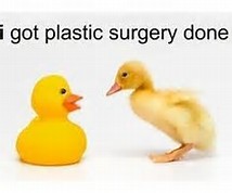 But I Don't Want to Look Plastic