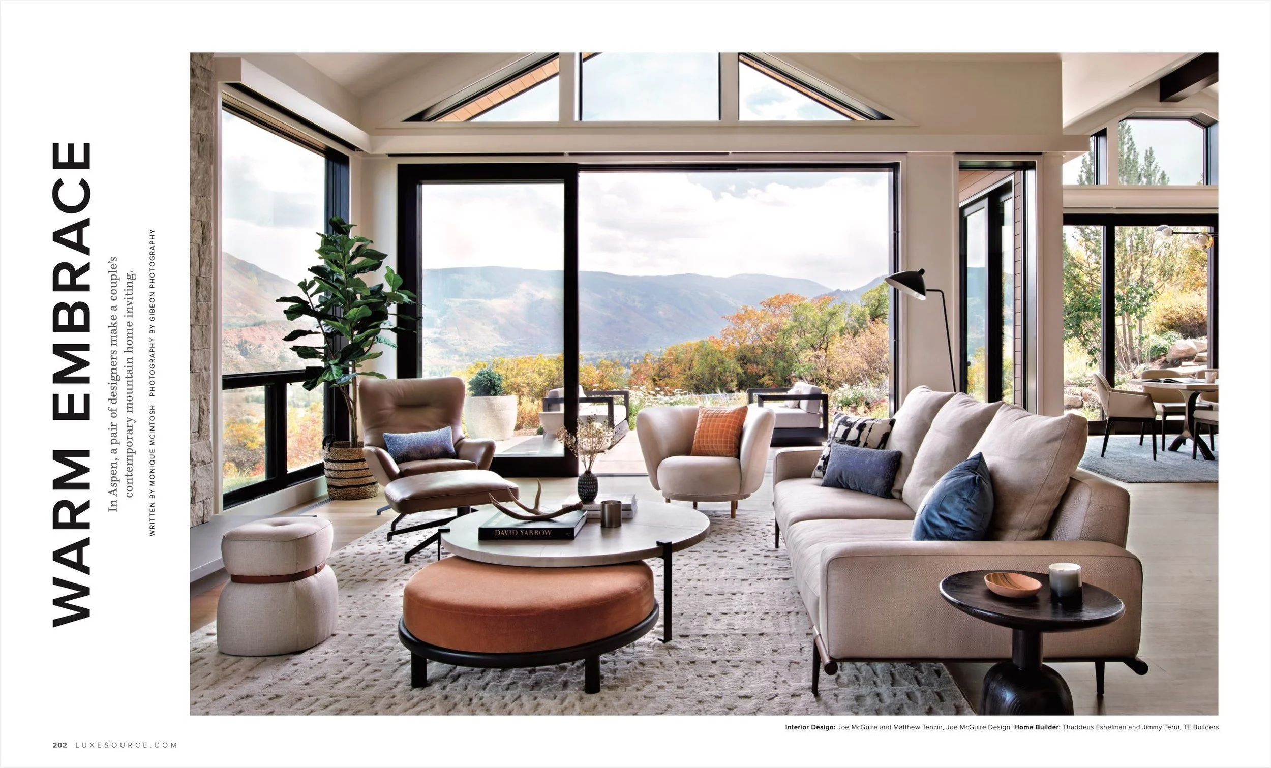 Aspen Interior Design Mountain Modern Chalet 1.jpg