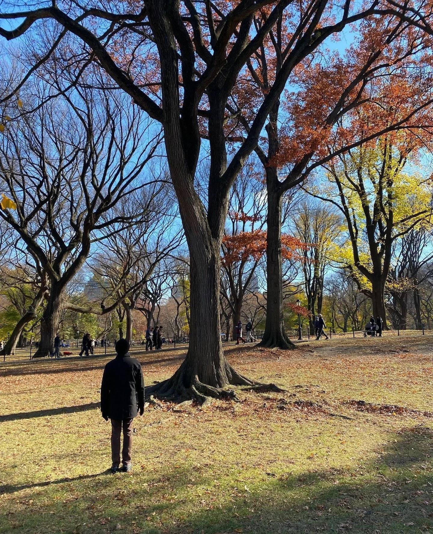 A delightful Sunday in New York, wandering in Central Park, checking out the 100th floor view at the top of Hudson Yards, Caviar Russe and Macallan whiskey tasting at Bergdorf Goodman, and dinner with fellow designers and friends, @elissagrayerinteri