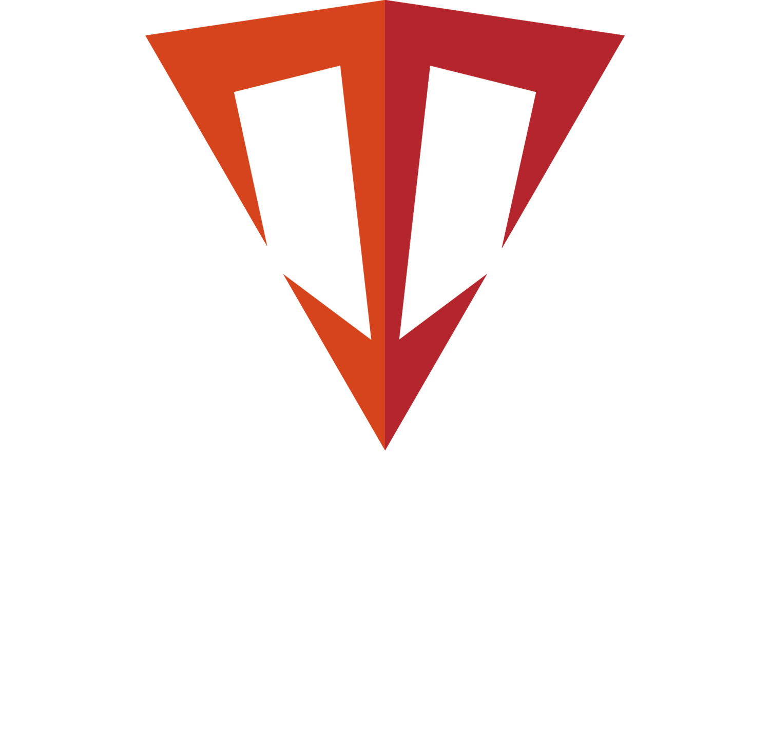 Triton Innovation Inc.