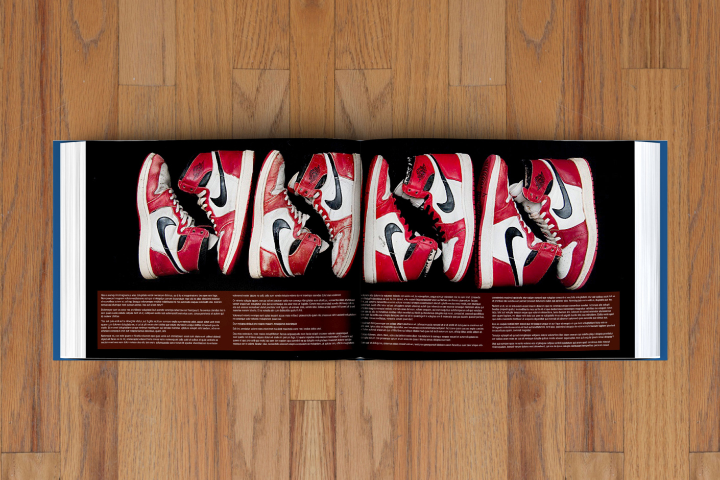 the encyclopedia of air jordans