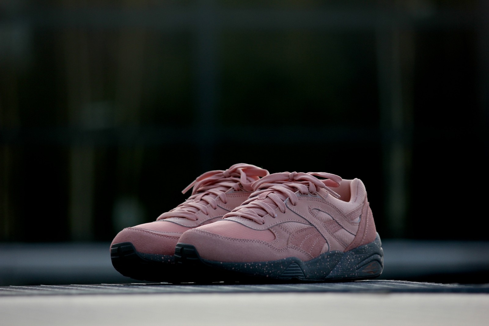 puma r698 winterized