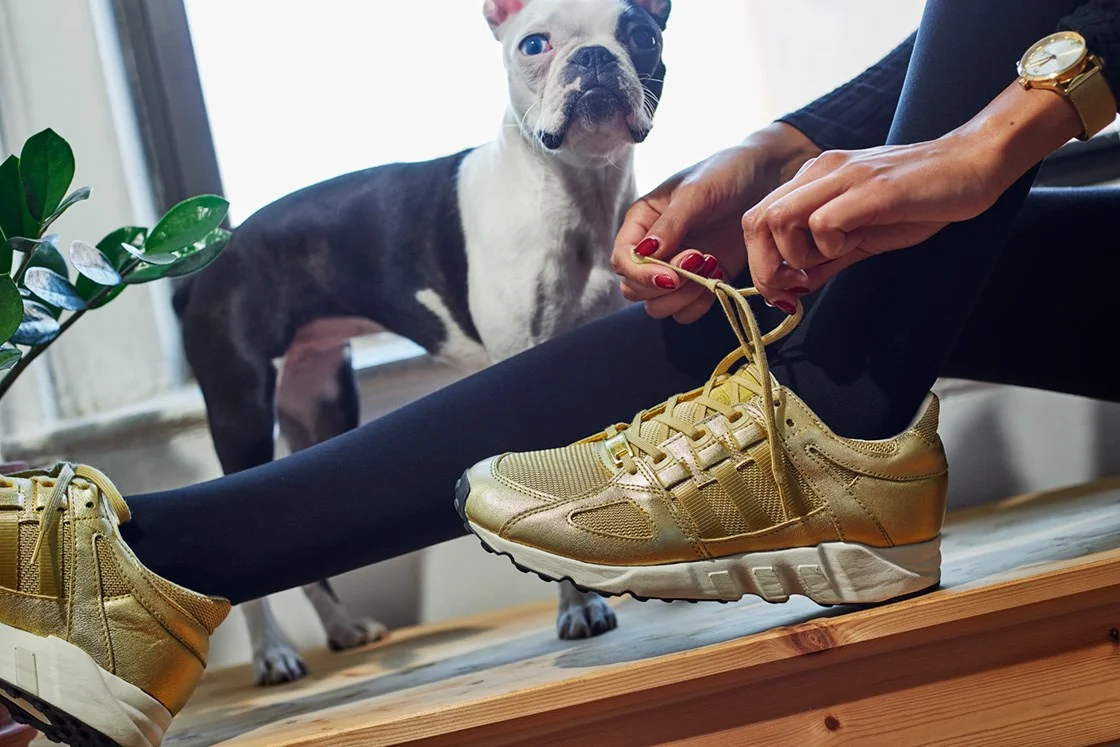 adidas zx flux boston terrier