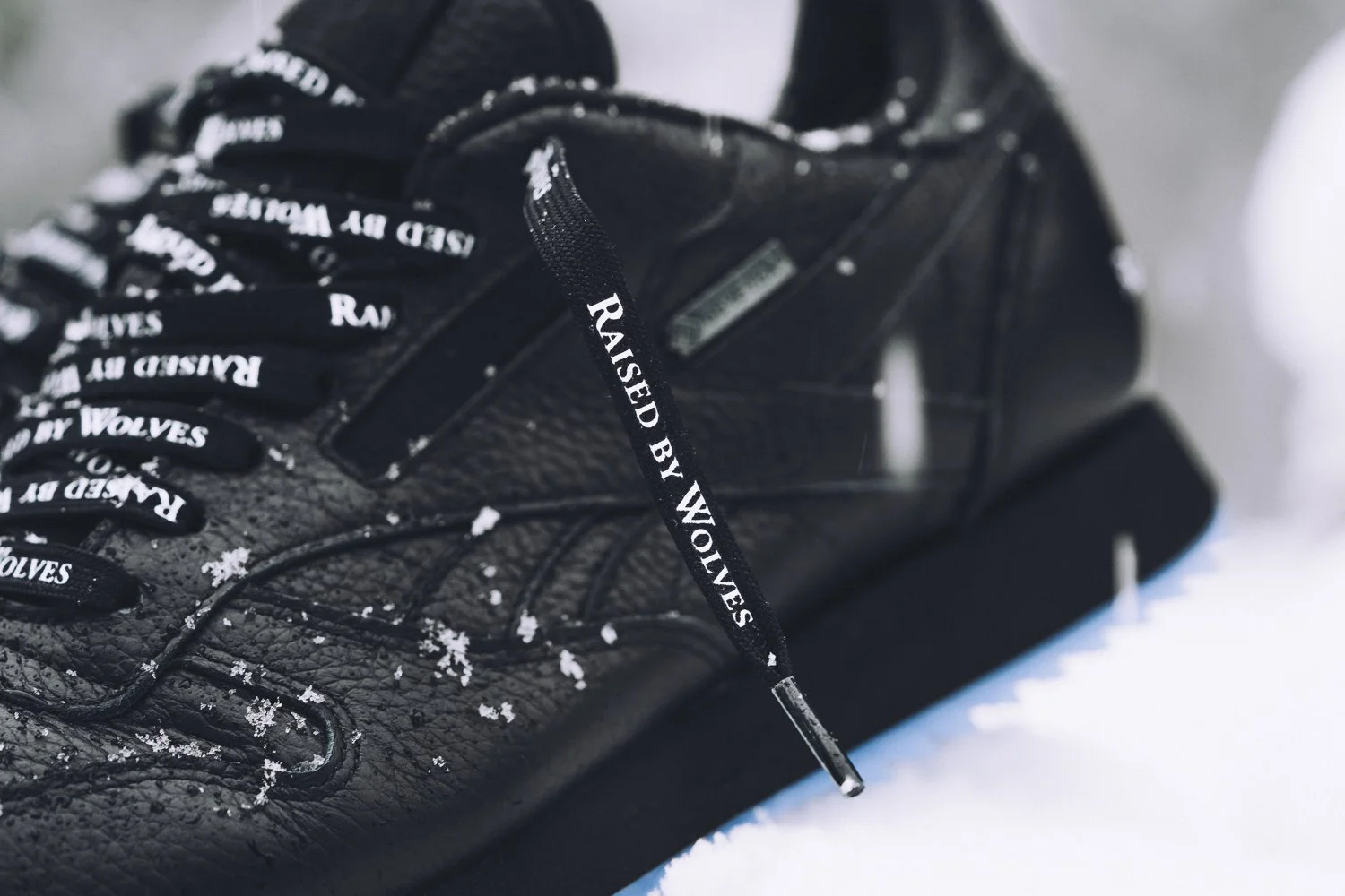 rbw_reebok-37.jpg