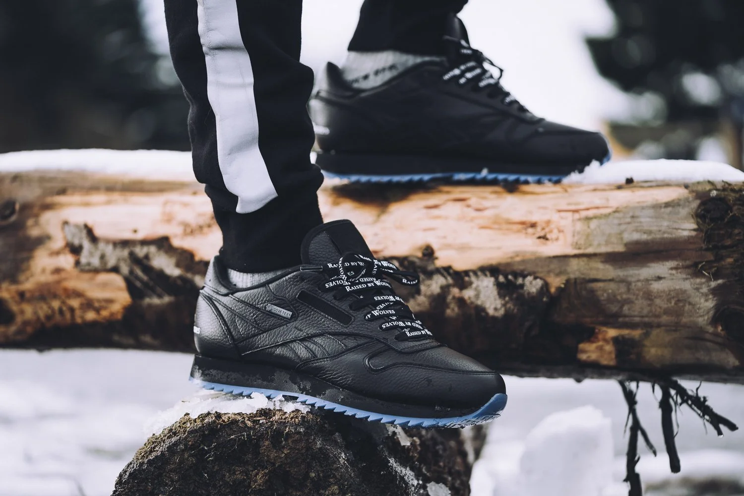 rbw_reebok-555.jpg