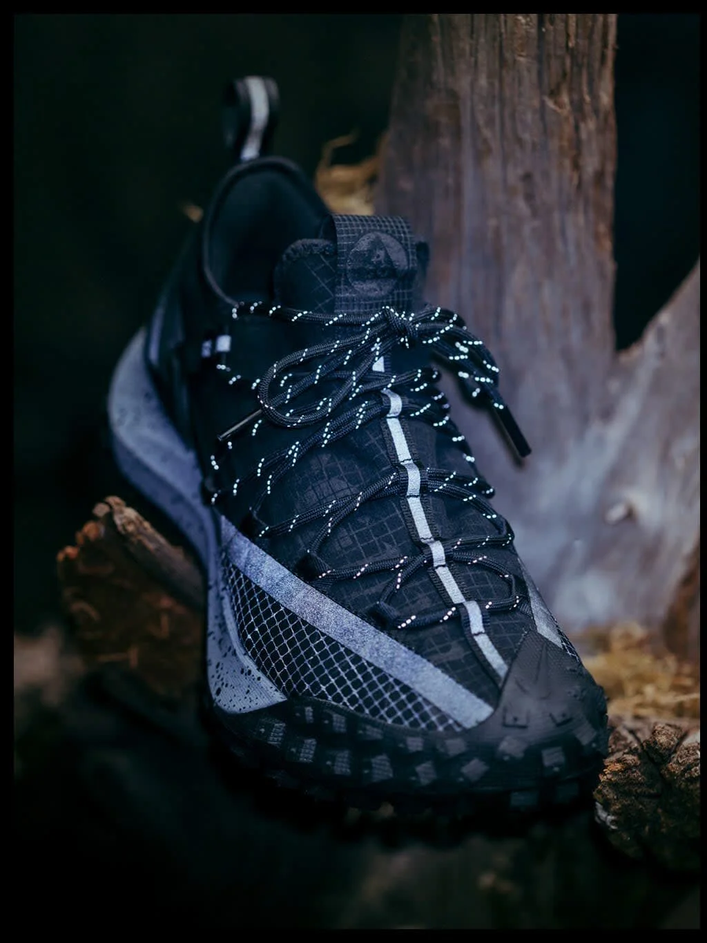 Nike ACG Mountain Fly Low HAVEN 