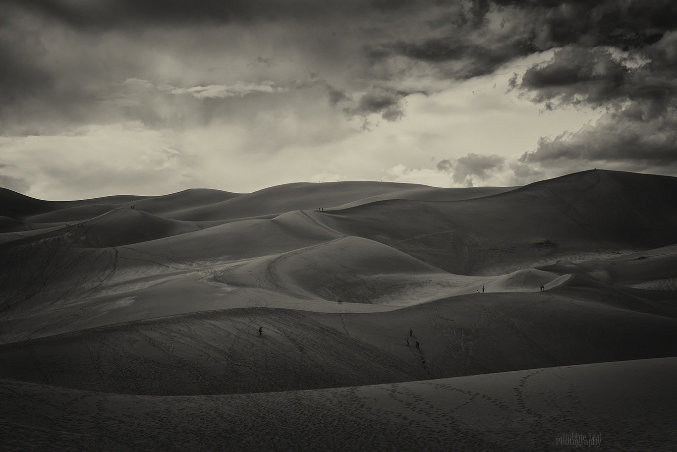 White Sky Grayweb.jpg