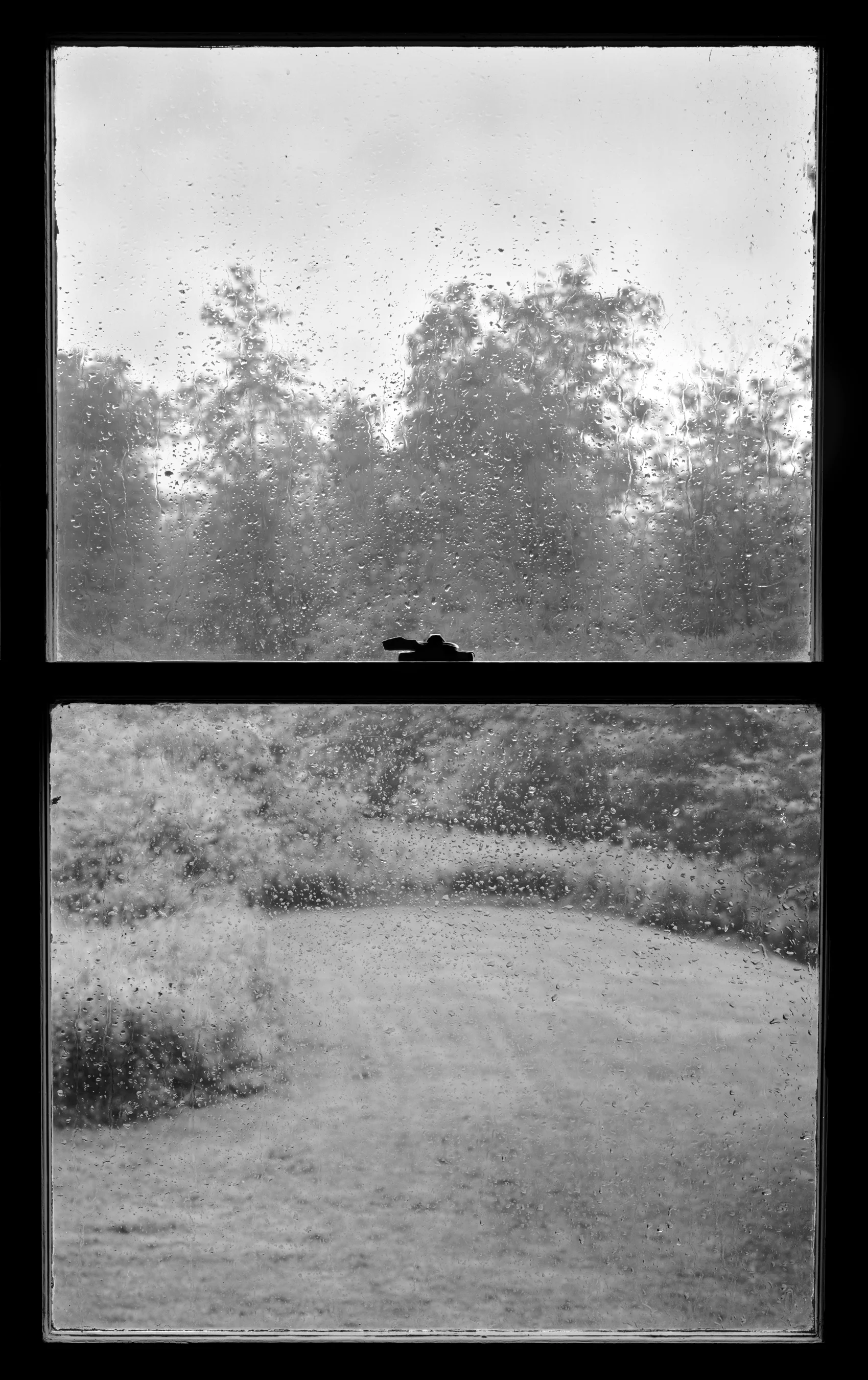 Wet Window I,  1989, selenium toned silver print, 69 x 42.5 Inches