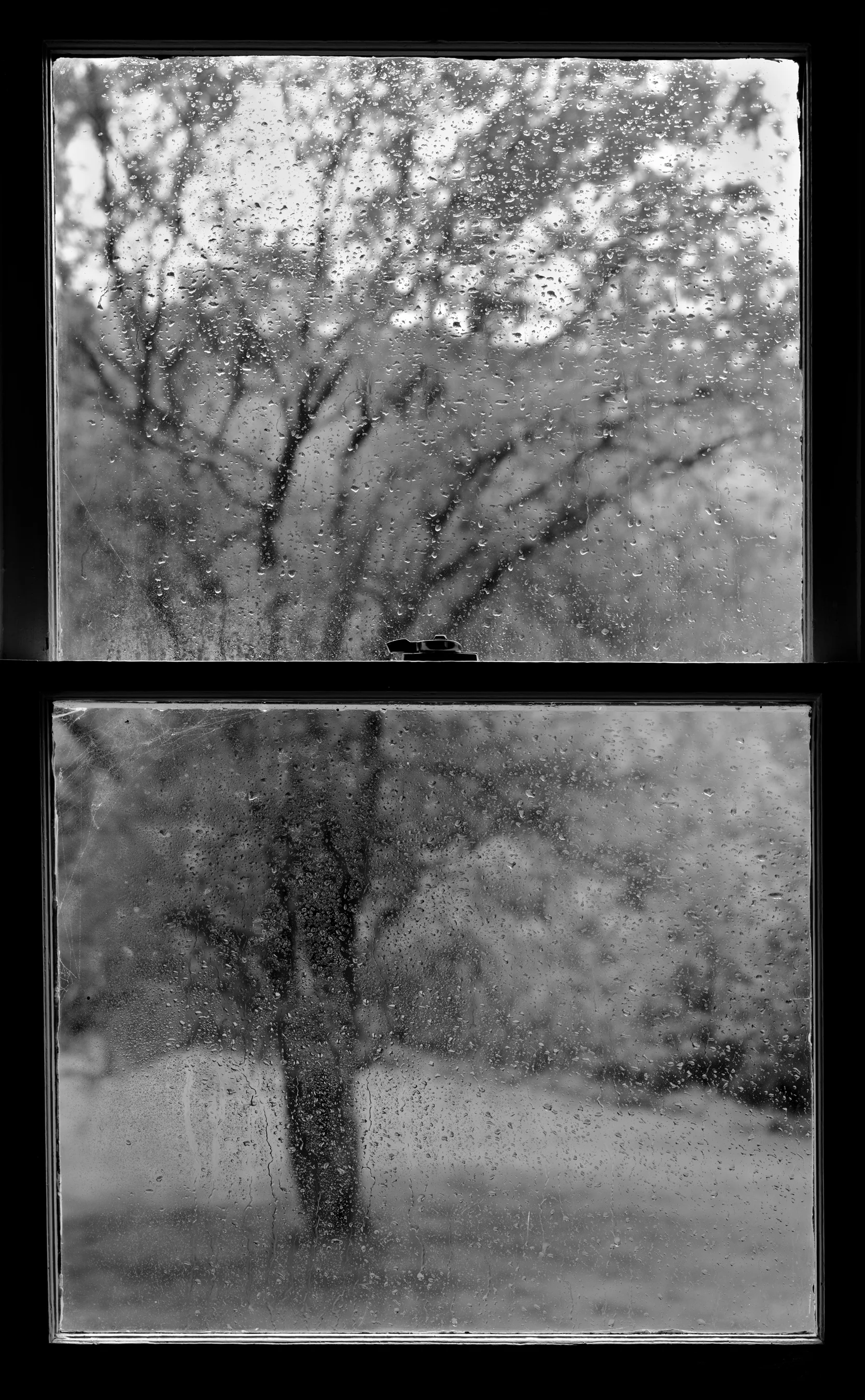 Wet Window VI,  1989, selenium toned silver print, 60 x 38 Inches