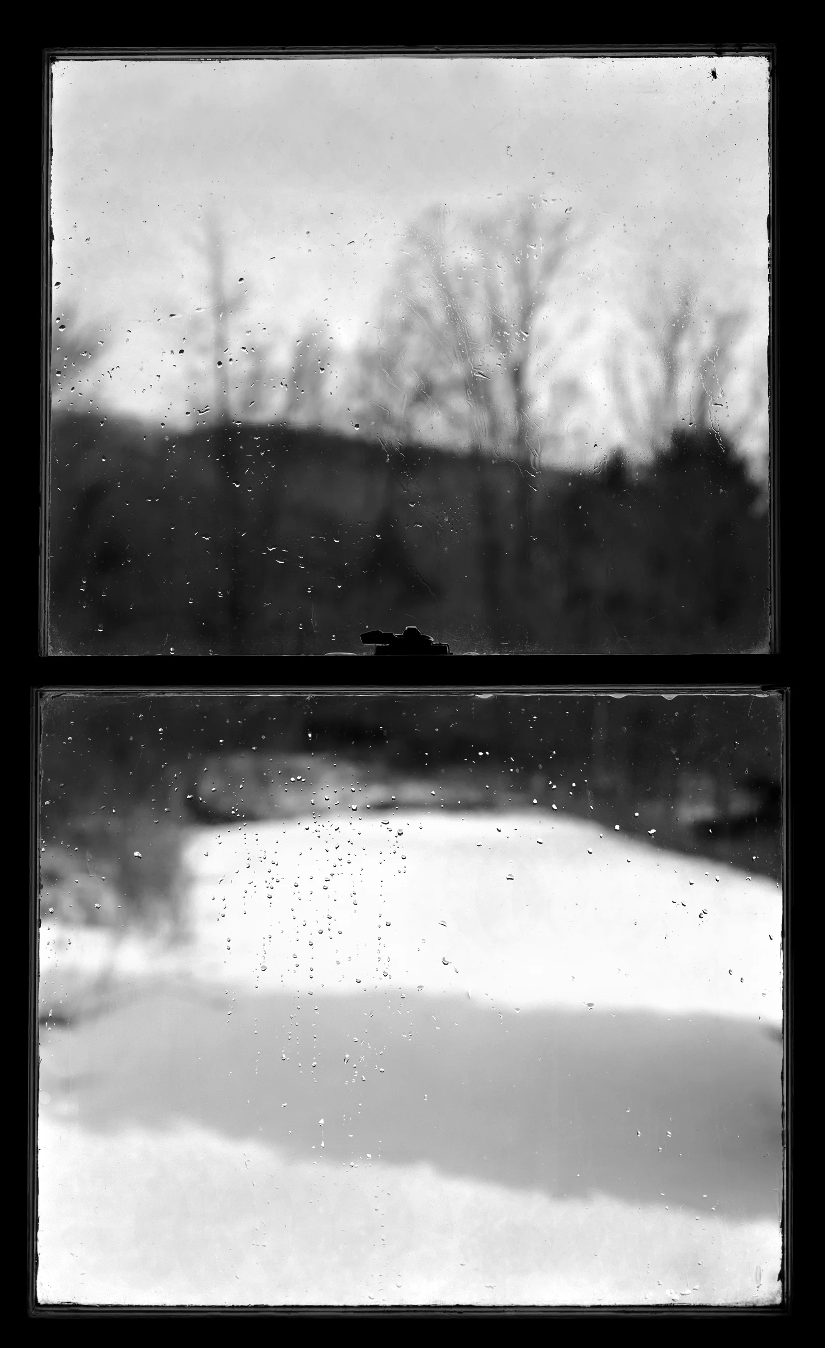 Wet Window VIII, 1989, selenium toned silver print, 60.25 x 42.5 Inches