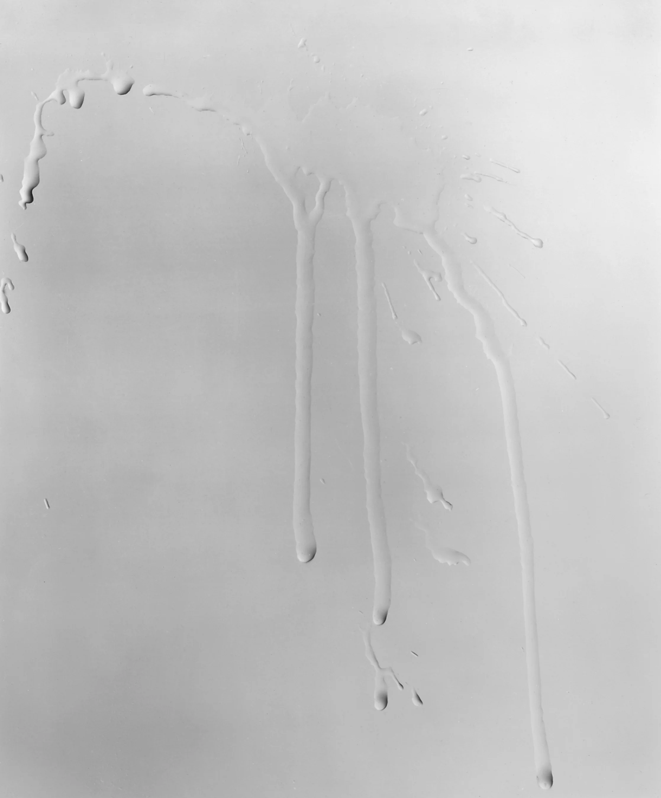 Wet Glass IV, 1995, selenium toned silver print, 24 x 20 Inches